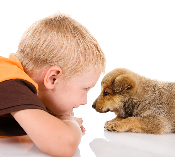 Boy,With,Puppy.,Isolated,On,White,Background
